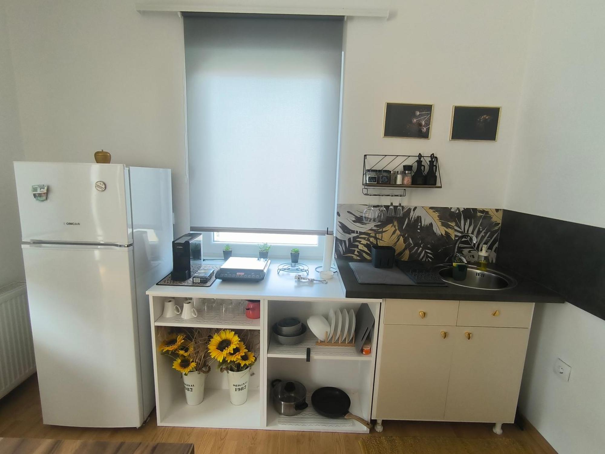 Apartment Smestaj Dzentlmen